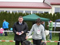 AHHC - Clubschau 2016 - Clubsieger - BOS